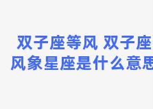 双子座等风 双子座风象星座是什么意思